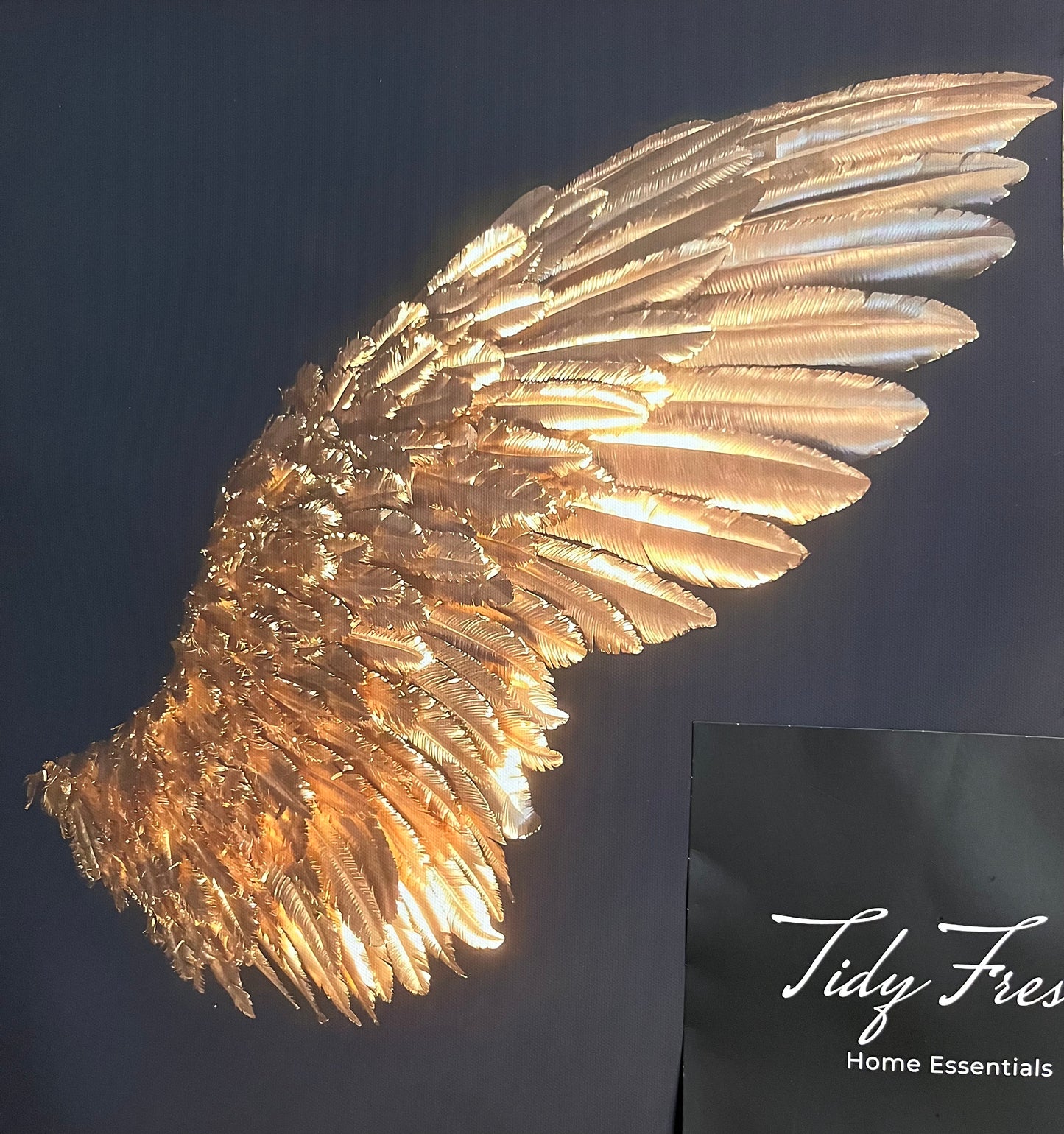 Angel Wings Canvas