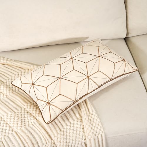 Geometric Lines Embroidery Velvet Shams