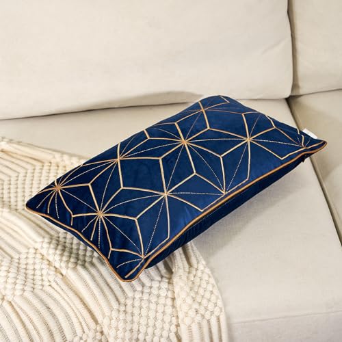 Geometric Lines Embroidery Velvet Shams