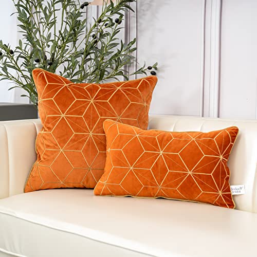 Geometric Lines Embroidery Velvet Shams